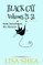 Black Cat Vols. 21-31 - The Salem Massachusetts Mini Mysteries