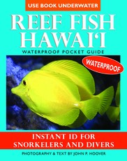 Reef Fish Hawai'i