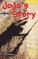 Jojo's Story. Buch und CD
