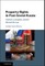 Property Rights in Post-Soviet Russia