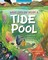 What Goes on Inside a Tide Pool