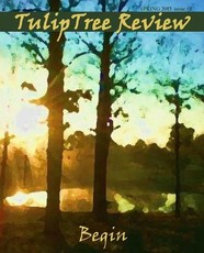 TulipTree Review