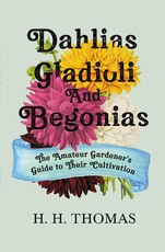 Dahlias, Gladioli and Begonias
