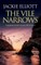 THE VILE NARROWS a gripping murder mystery full of twists