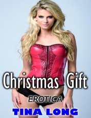 Erotica: Christmas Gift