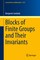 Blocks of Finite Groups and Their Invariants