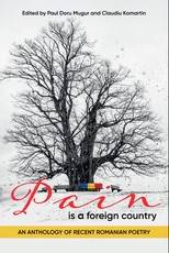 Pain Is a Foreign Country