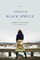 Through Black Spruce
