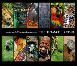 The distance close up