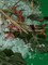 Abbas Akhavan: Variations on a Garden