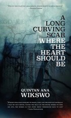 A Long Curving Scar Where The Heart Should Be