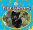 Black Bears