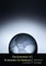 Fundamentals of Economics for Business (2nd Edition)