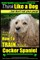Cocker Spaniel, Cocker Spaniel Training AAA Akc