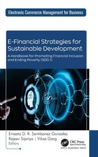 E-Financial Strategies for Sustainable Development