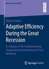 Adaptive Efficiency During the Great Recession