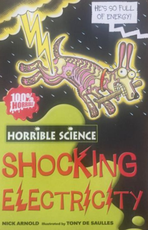 Shocking Electricity (Horrible Science)