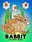 Rabbit Coloring Book