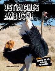 Ostriches Ambush!