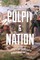 Pulpit and Nation