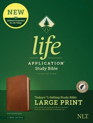 NLT Life Application Study Bible, Third Edition, Large Print (Red
