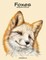 Foxes Coloring Book for Grown-Ups 1