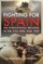 Fighting for Spain
