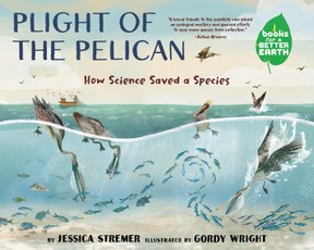 Plight of the Pelican
