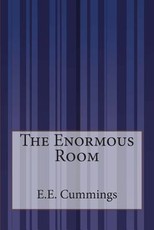 The Enormous Room