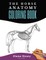 Horse Anatomy Coloring Book For Adults - Self Assessment Equine Coloring Workbook
