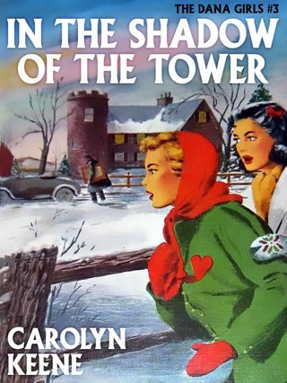 In the Shadow of the Tower