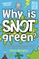 Why is Snot Green?