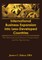 International Business Expansion Into Less-Developed Countries
