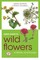 Green Guide to Wild Flowers Of Britain And Europe