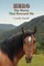 Hero The Horse That Rescued Me