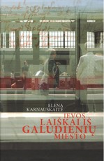 Ievos laiškai iš Galudienių miesto