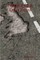 POTHOLES & Other Poems