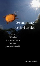 Swimming with Turtles