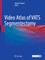 Video Atlas of VATS Segmentectomy
