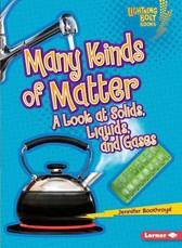 Many Kinds of Matter