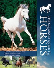 The Ultimate Guide to Horses