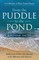 From the Puddle to the Pond