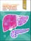 Diagnostic Pathology: Hepatobiliary and Pancreas
