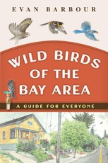 Wild Birds of the Bay Area