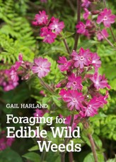 Foraging for Edible Wild Weeds