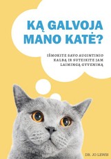 Ką galvoja mano katė? Išmokite savo augintinio kalbą ir suteikite jam laimingą gyvenimą
