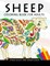 Sheep Coloring Book for Adults