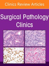 Updates in Gynecologic Pathology, an Issue of Surgical Pathology Clinics