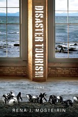 Disaster Tourism