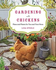 Gardening with Chickens
